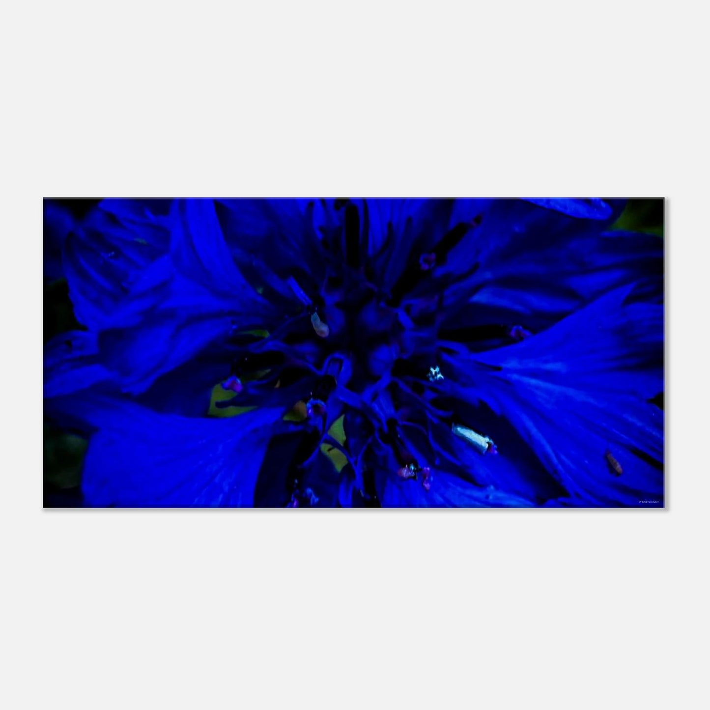 fd72b753-4df7-4197-aaa2-6b798ec631d9