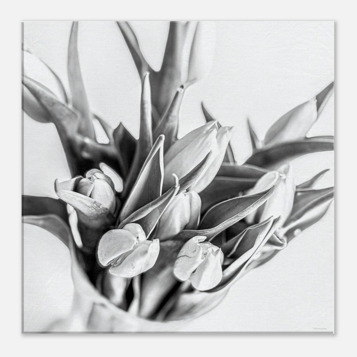 fdbb2a1a-8ac0-4a8d-ab1e-ff390df1231b