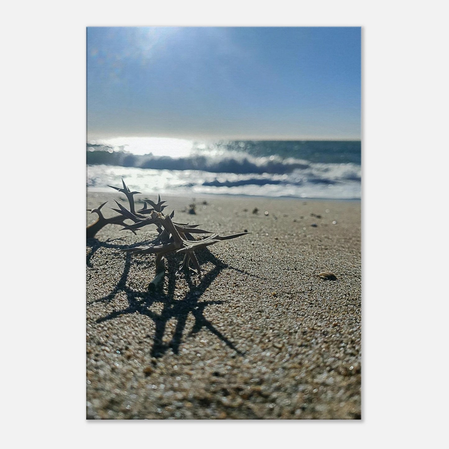 fdfe6037-3fae-434f-9bb7-8e660d95d77e