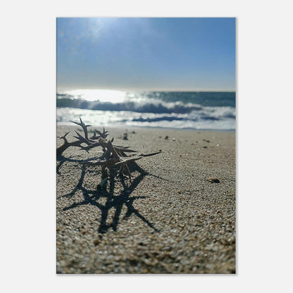 fdfe6037-3fae-434f-9bb7-8e660d95d77e