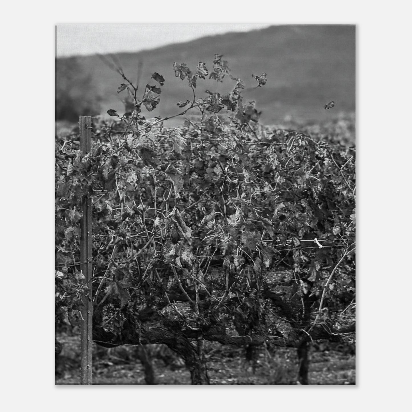 fdff9603-4325-45d8-aa80-87ff57d5d0f6