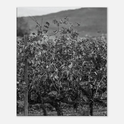 fdff9603-4325-45d8-aa80-87ff57d5d0f6