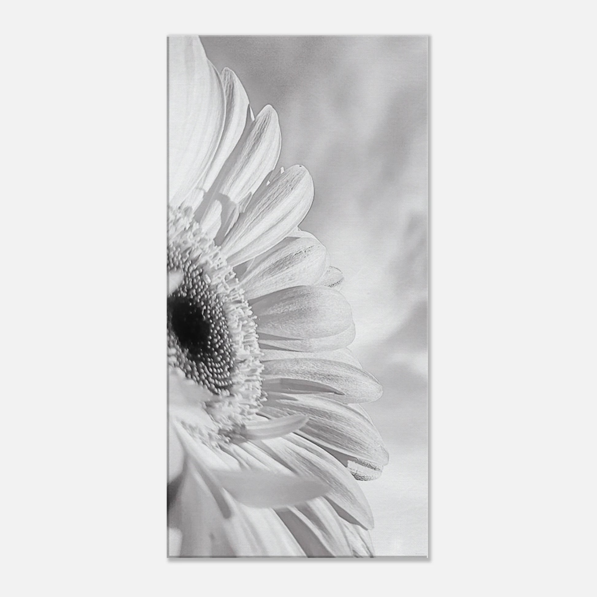 fe125ae8-39de-418e-986f-25ac3ec74cf8