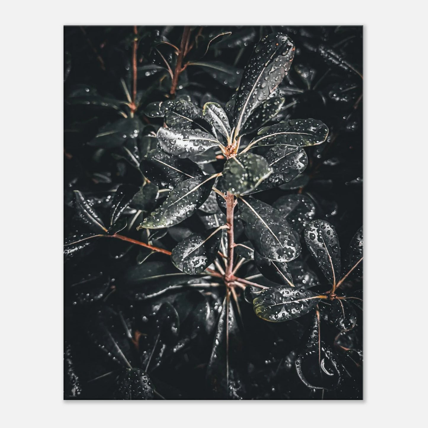 feaf11dc-e000-467c-b57c-a60e17e30e51