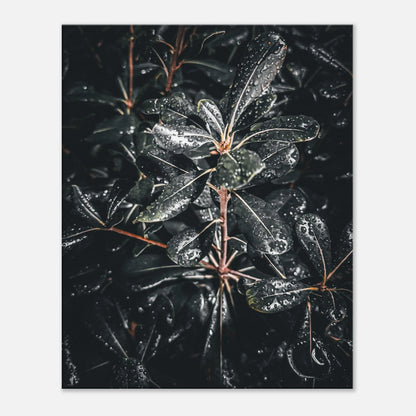 feaf11dc-e000-467c-b57c-a60e17e30e51