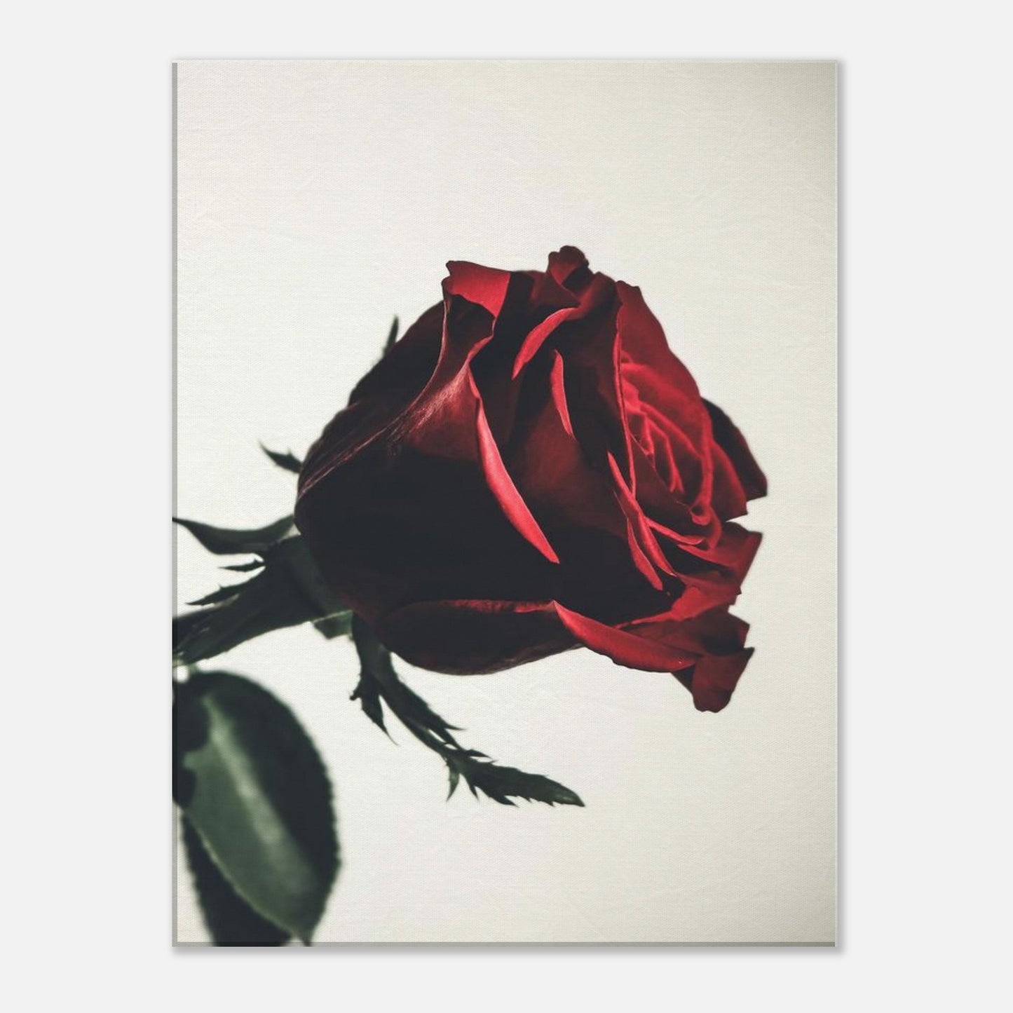 feed0947-e41d-4b2c-b2a3-342b332f99e7