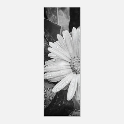 fef7e045-2a36-4b56-a210-d00025a8b02b