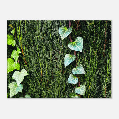 ff00eb81-f411-4b72-b04e-90043b18d984