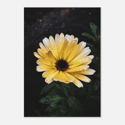 ff04d874-f1f5-4e16-8596-68d35ce570ec