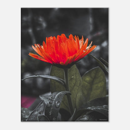 ff05dabb-b4f6-4d52-9fd3-f751aef722c1