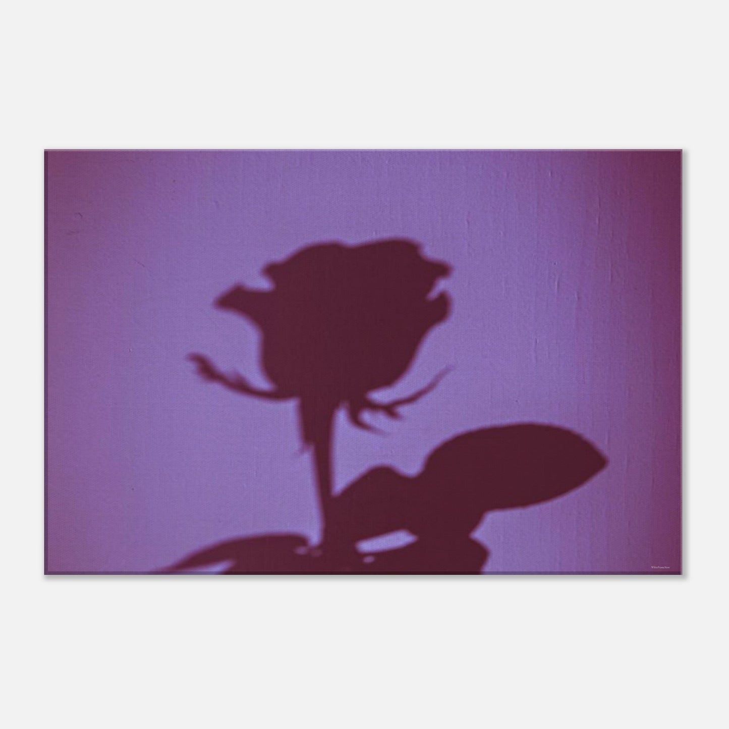 ff3dfcdb-4e9f-41d3-8495-82e466b08f73