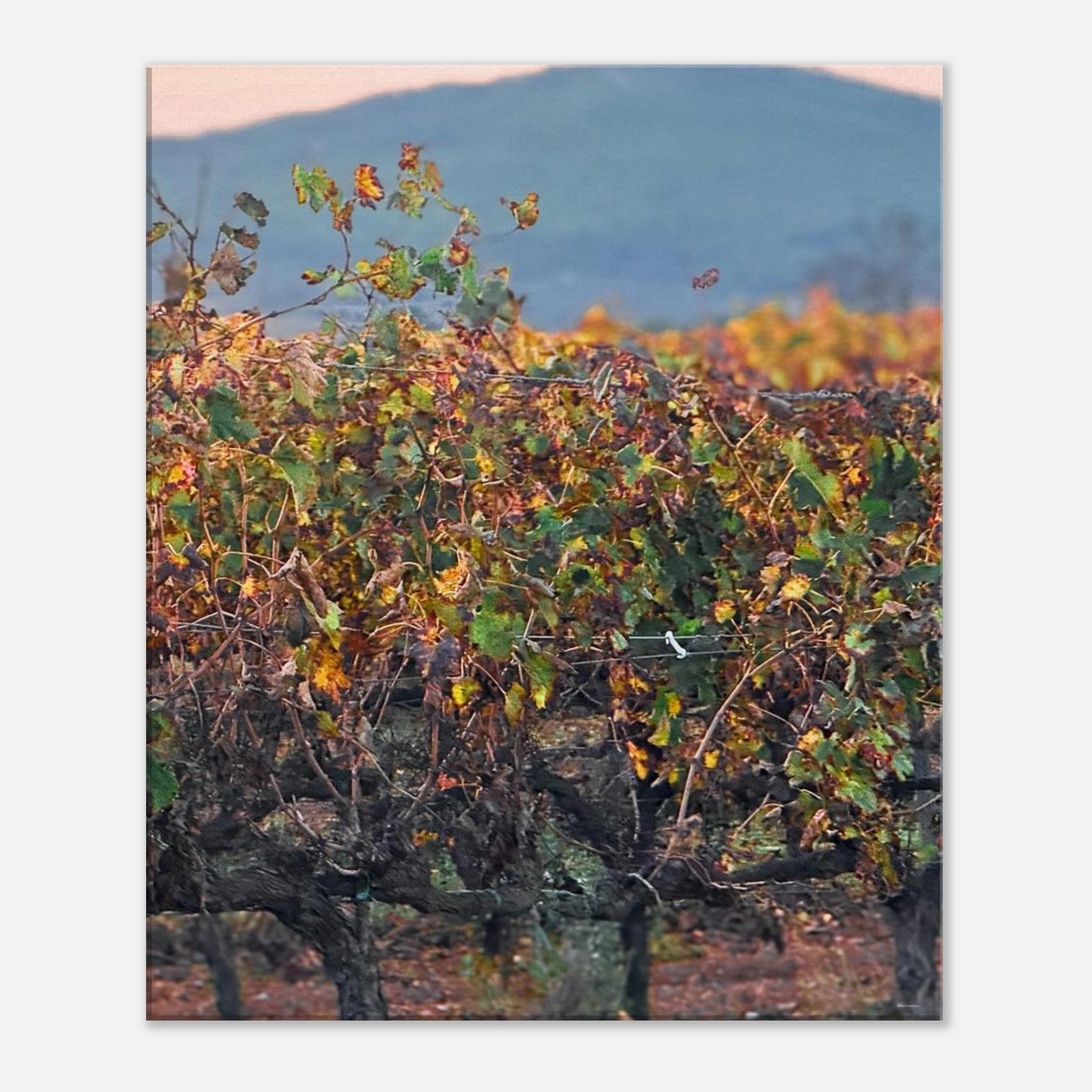 ff42ecea-3125-4f72-b132-548772448114