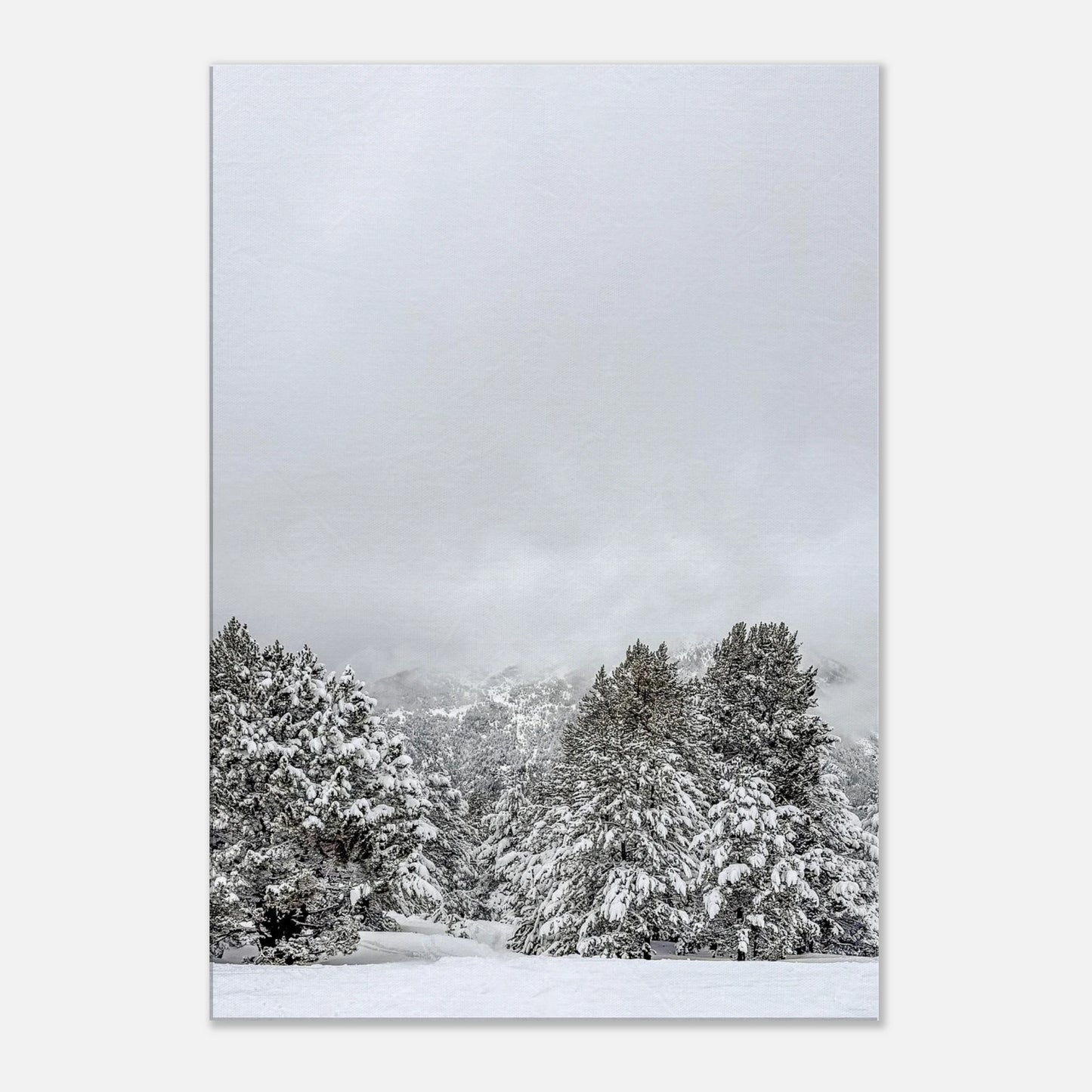 ff5d91dd-1363-4954-823e-ec6576eed767