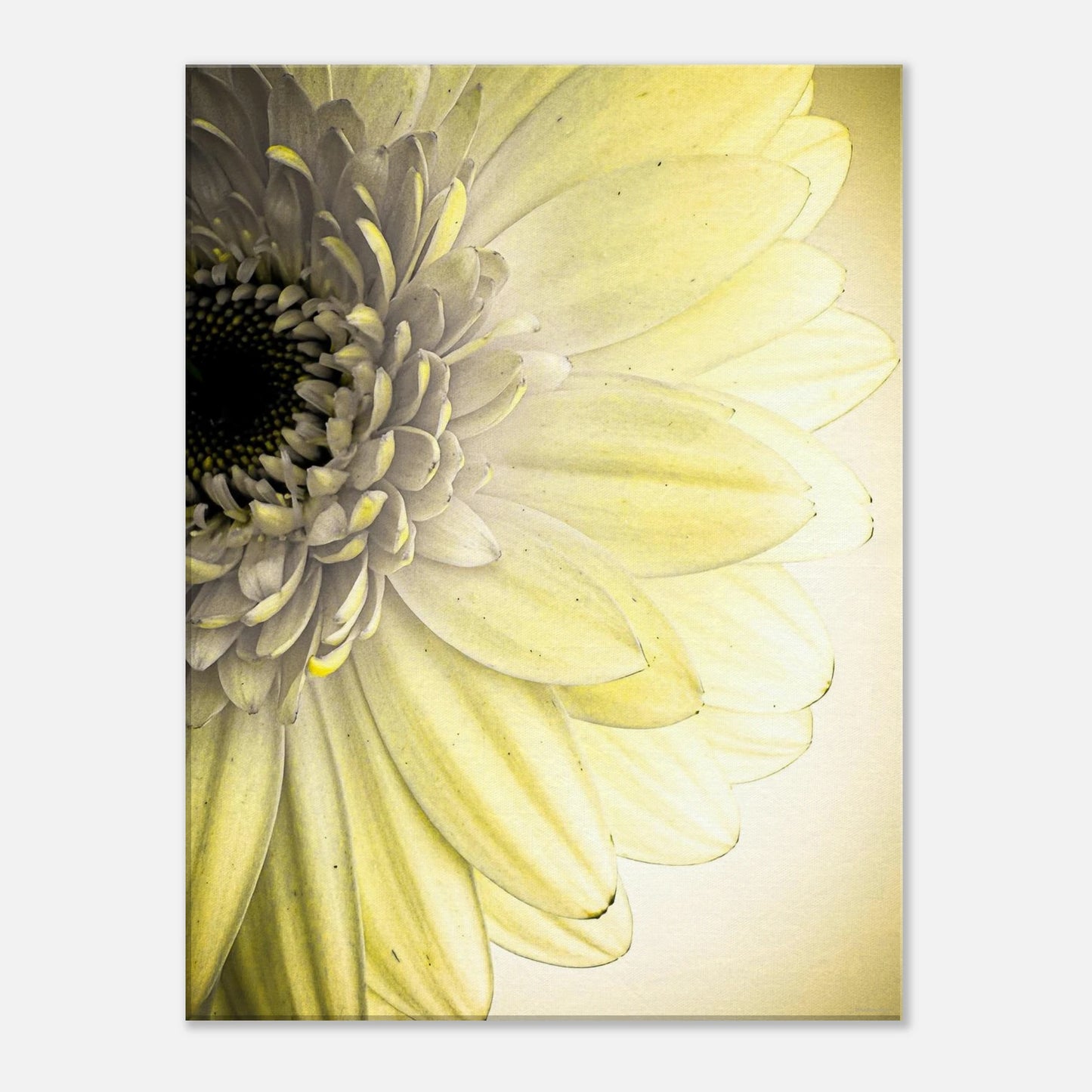 ff5df287-235b-4f5e-a450-4c00c976b69a