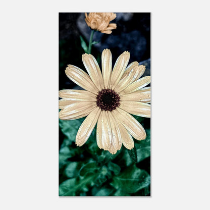 ffa5f82a-ba98-4a89-940e-6fd1ca3ec6f6