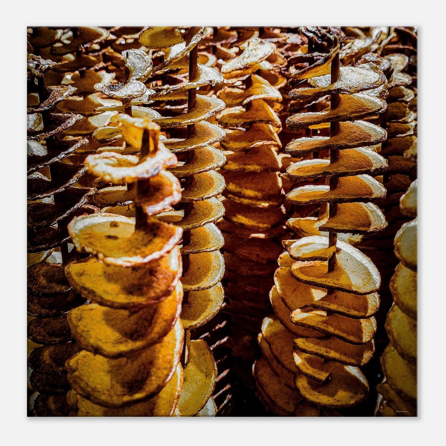 ffbbe061-bd80-4240-b5ee-f6f35991a41a